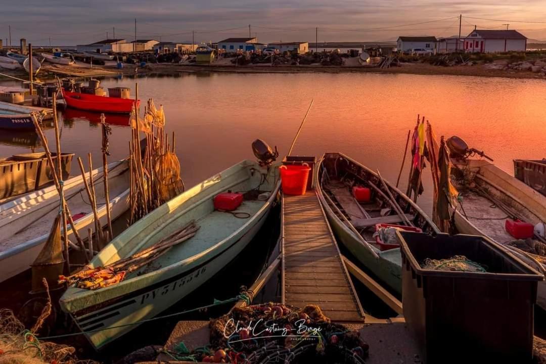 Zen Lejlighed Gruissan Eksteriør billede